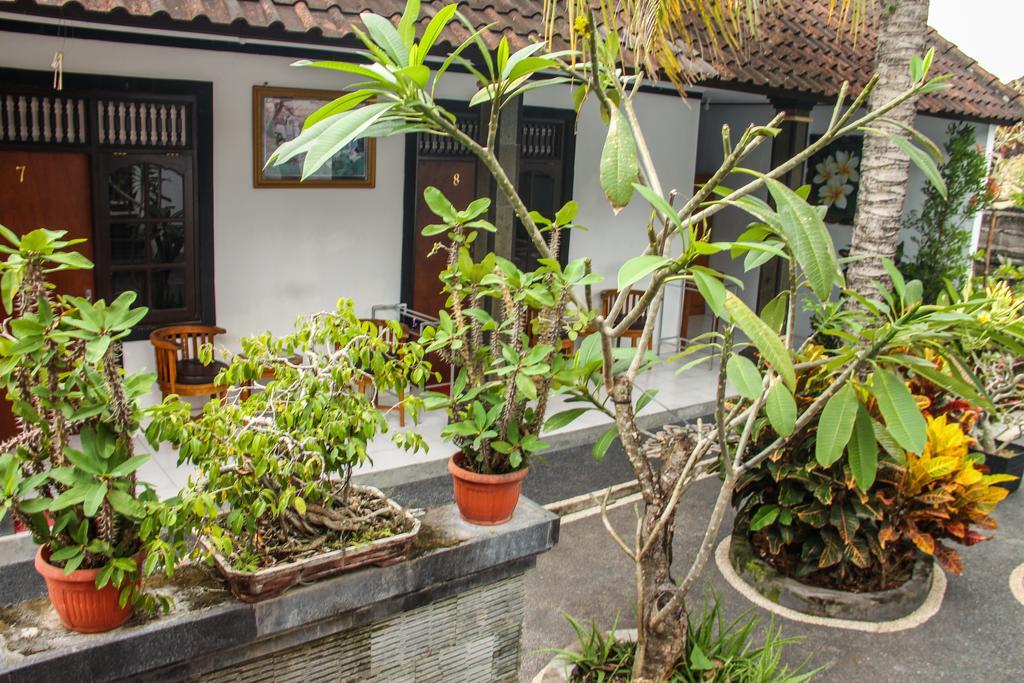 Nyoman Guesthouse Canggu Exteriér fotografie